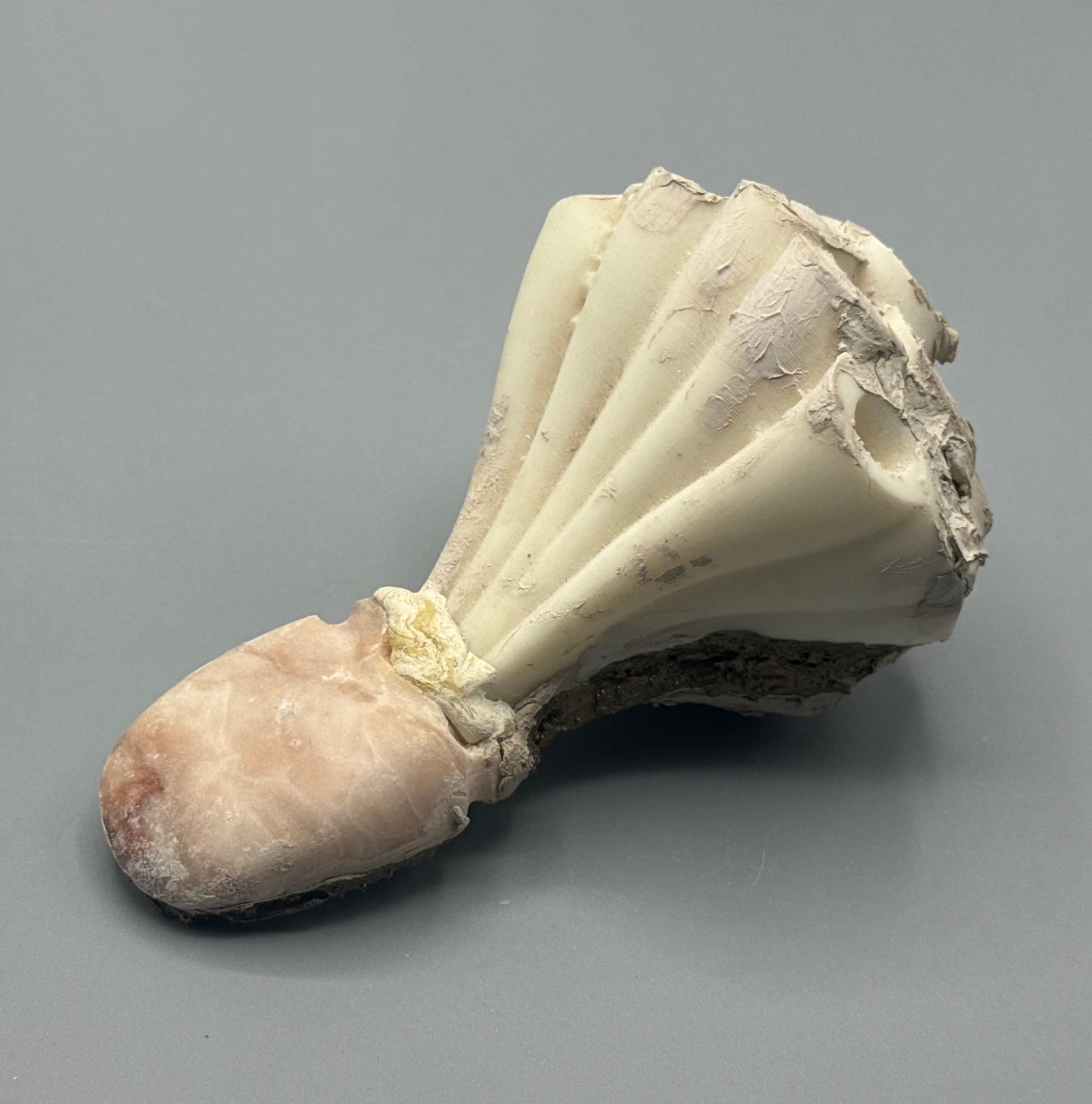 Amulet No. 27.