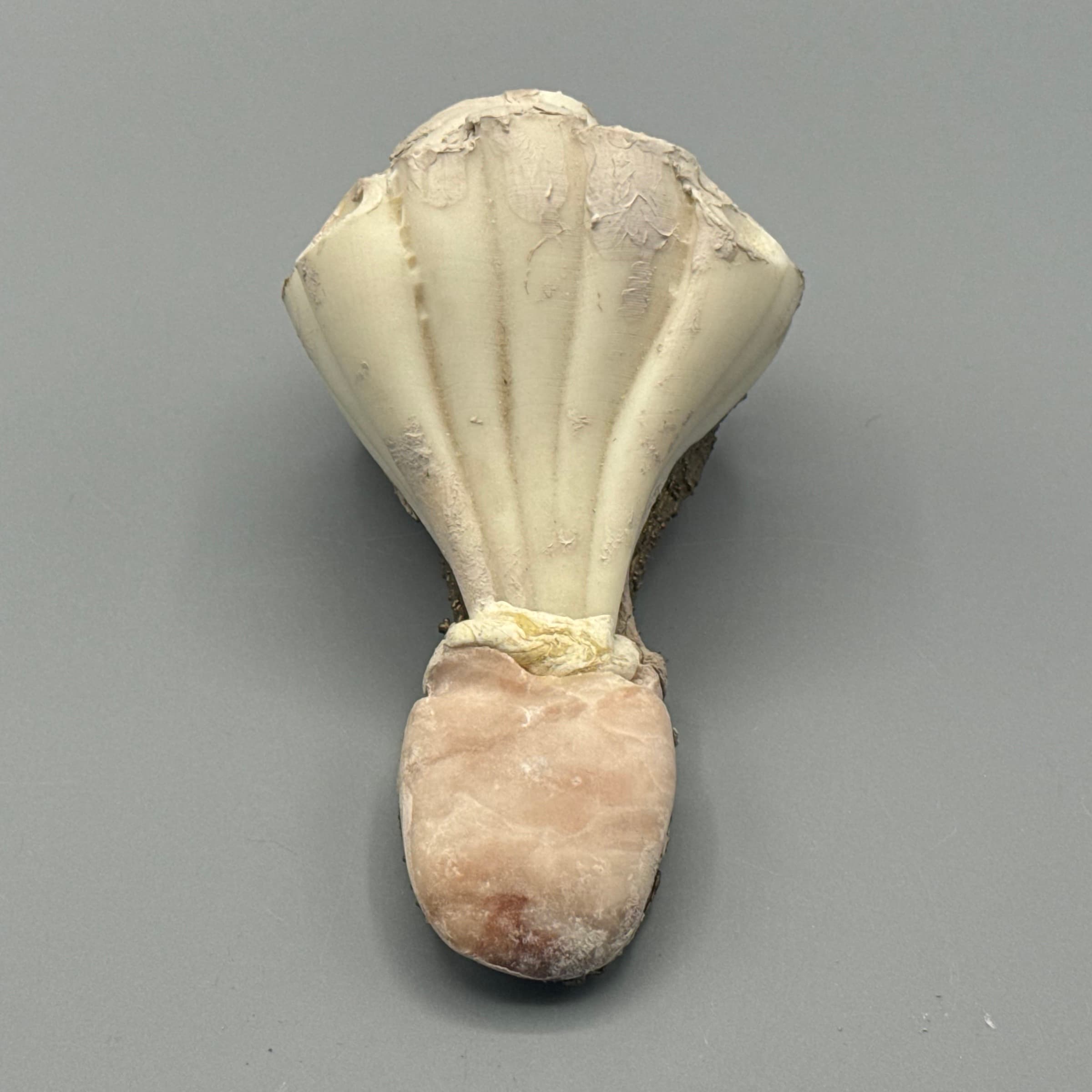 Amulet No. 27.