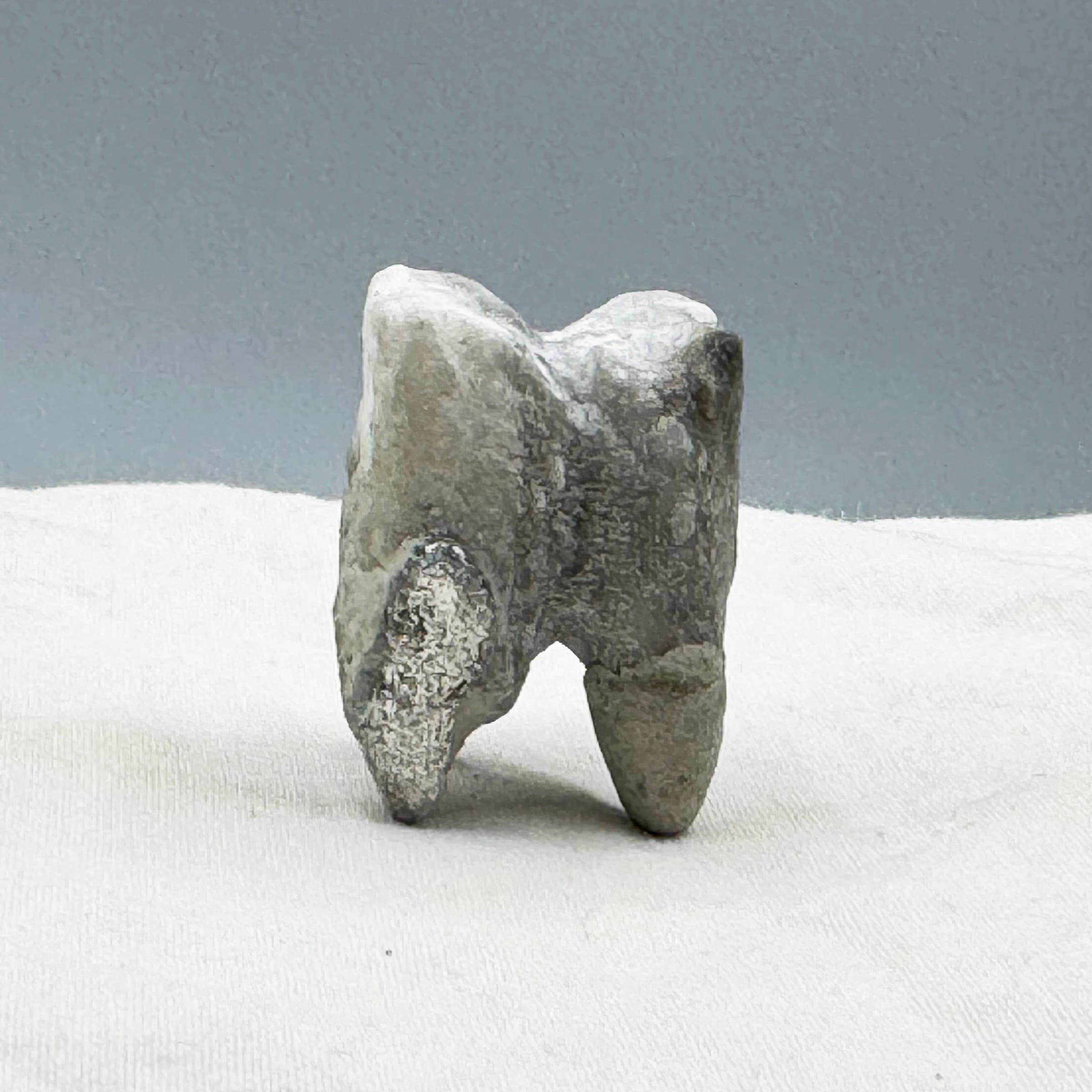 Amulet No. 29.