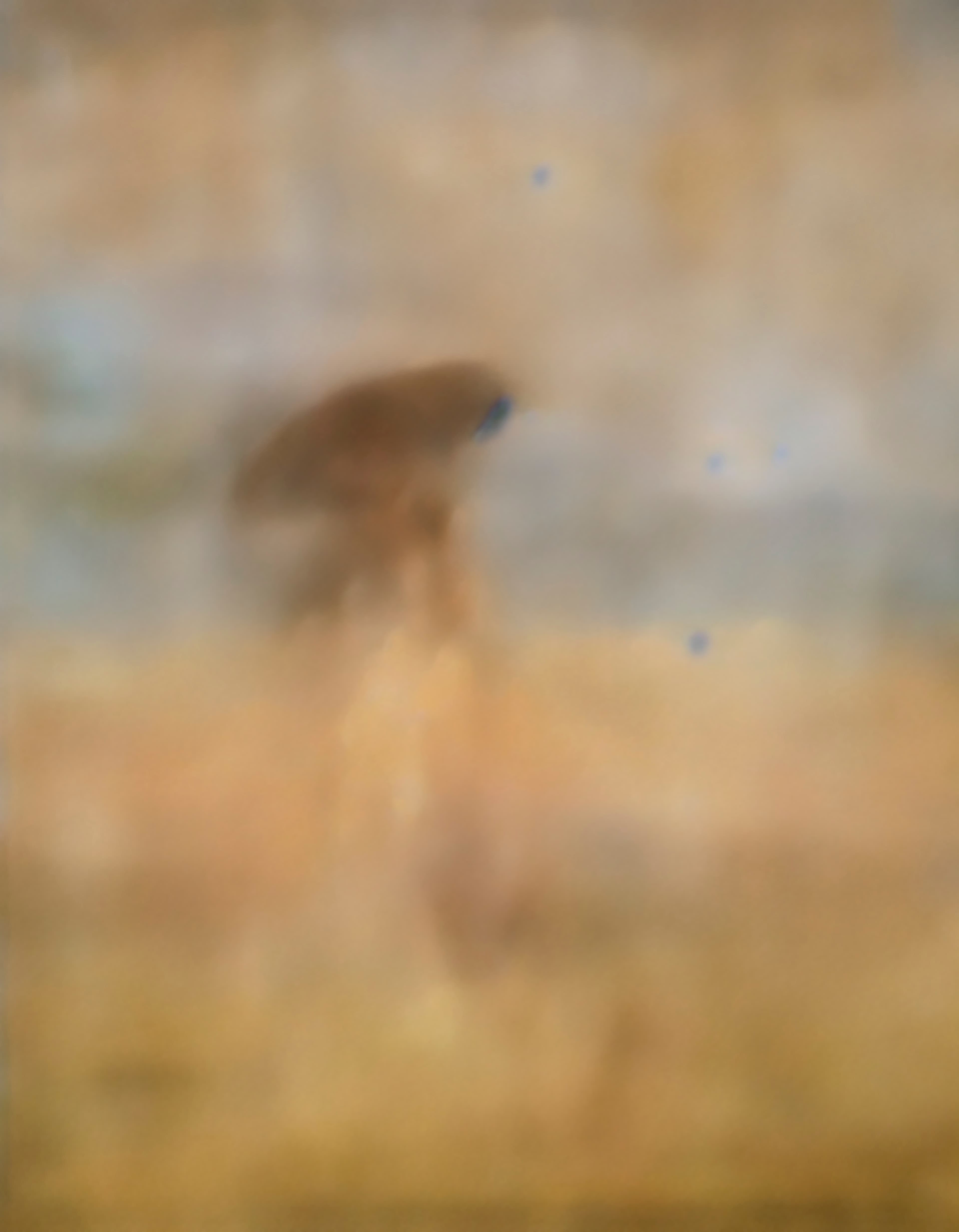 After De Nittis (In the Wheat Fields)