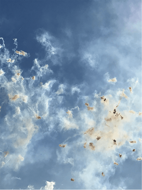 Fireworks in Daylight #3
